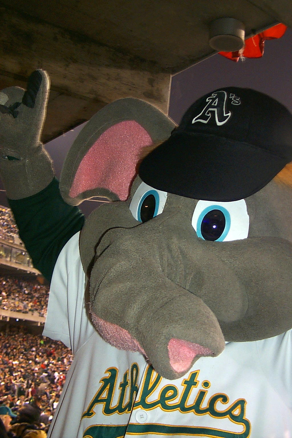 A's Mascot STOMPER