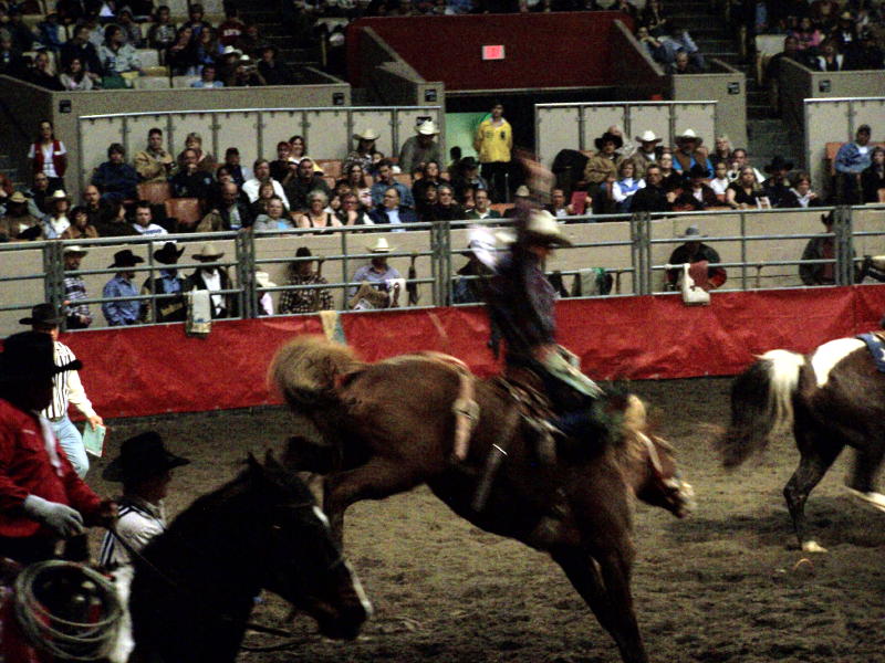 Grand National Rodeo at the Cow Palace in Daly City, CA