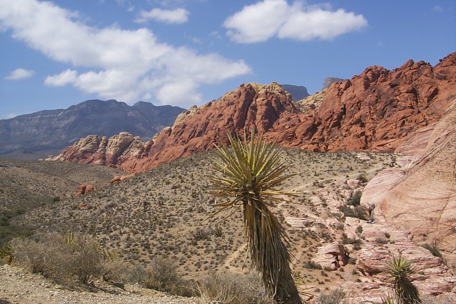 The beautiful scenery near where we rode the horses.