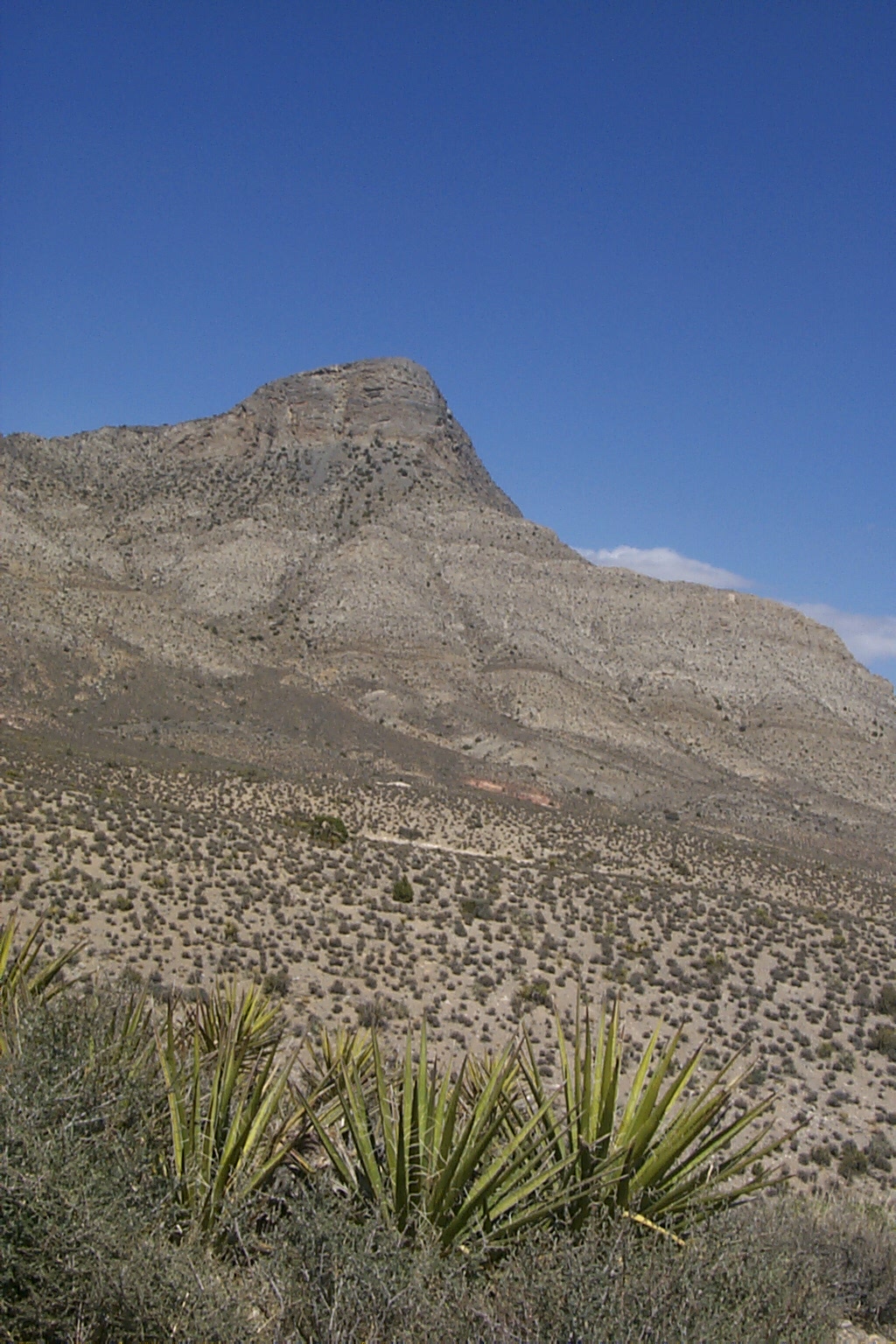 Another picture in the Red Rock Park area.