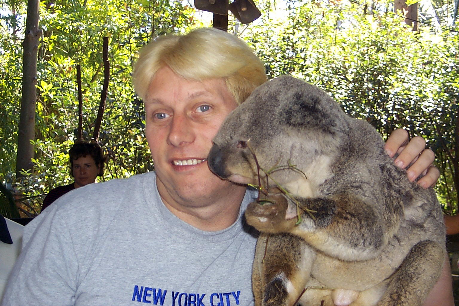 Dennis is being kissed by a Koala