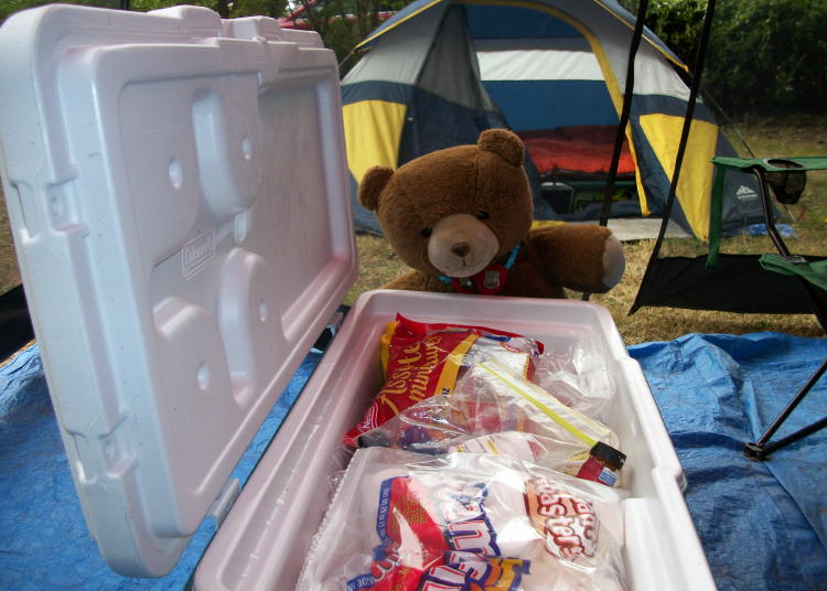 Davie Jr. is being sneaky.  He was trying to protect the food from any other bears in the area.