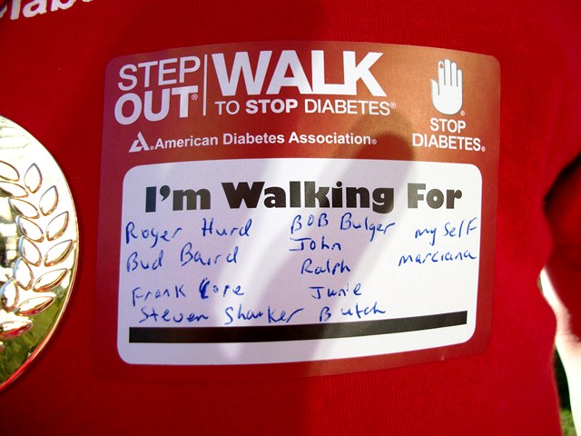 The list of walkers Dennis was walking for this year.