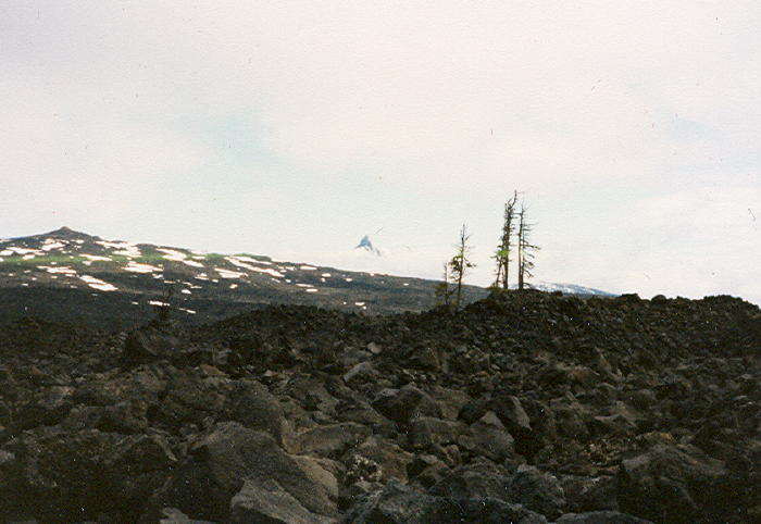 The lava fields scene just over the summit of McKenzie Pass.