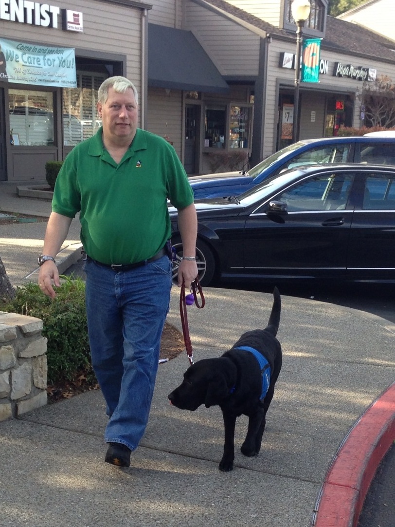 The service dog walking with Dennis