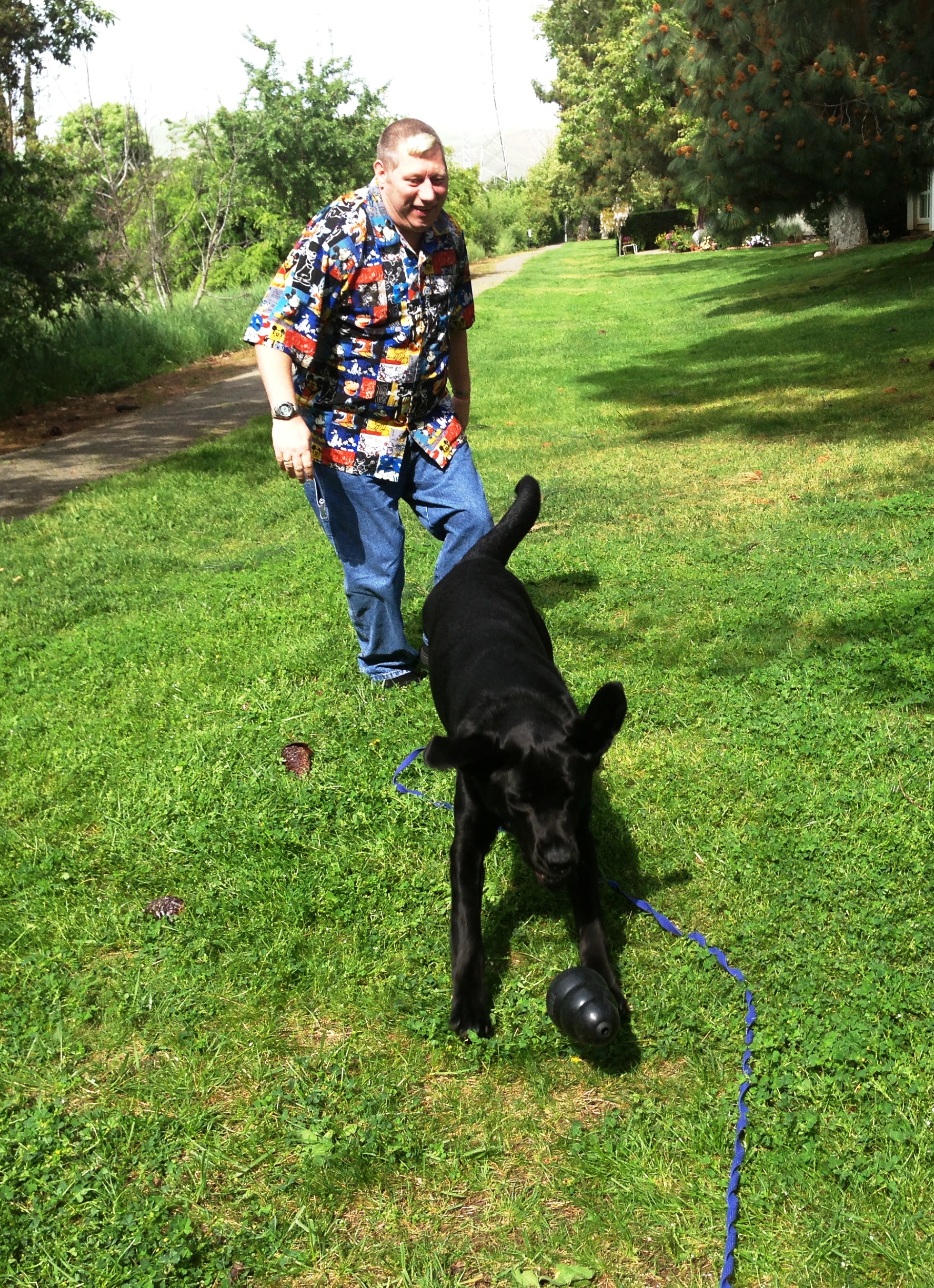 The service dog playing with Dennis